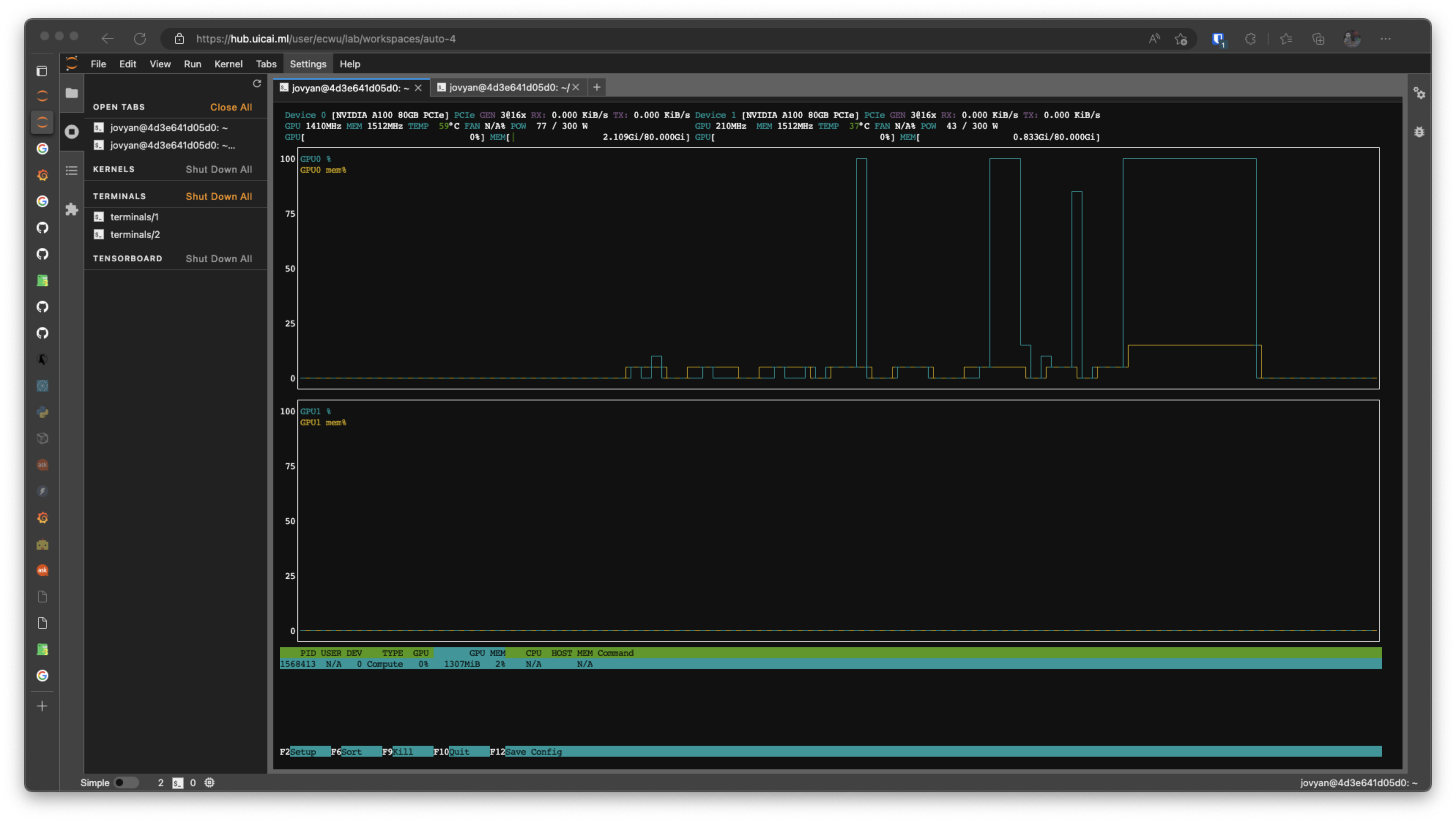 nvtop GPU